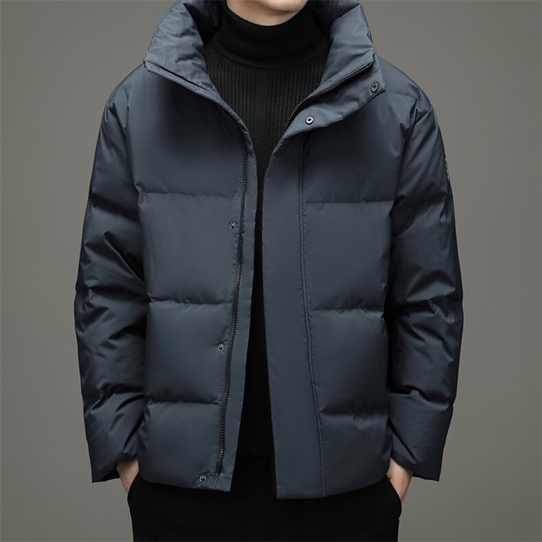 鹅绒羽绒服中青年男短款冬季休闲立领外套2023新款DFLDY5007-P290,男装羽绒服,电商B212（原钱塘6029）
