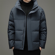 鹅绒羽绒服中青年男短款冬季休闲立领外套2023新款DFLDY5007-P290，男装羽绒服，电商B212（原钱塘6029）