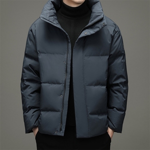 鹅绒羽绒服中青年男短款冬季休闲立领外套2023新款DFLDY5007-P290图片