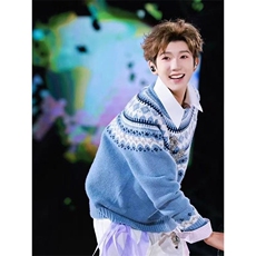 王源明星同款蓝色费尔岛毛衣几何撞色针织打底衫内搭上衣XM18P65，男装T恤，电商D256