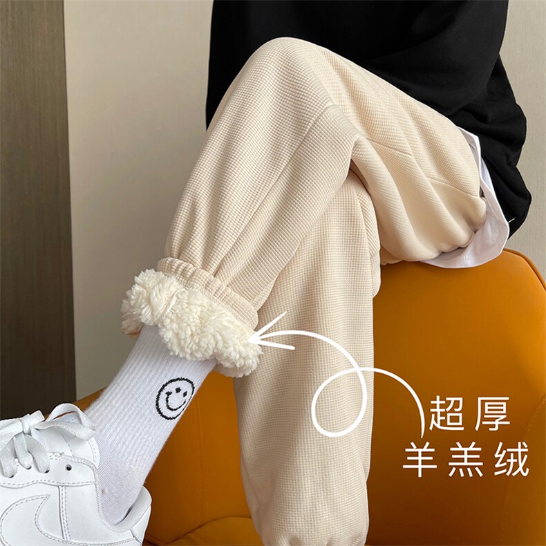 02冬季加厚保暖加绒羊羔毛裤男束脚阔腿休闲裤XZ211-1-K2461-P60图片