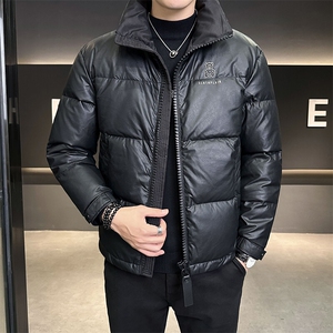 羽绒服男2024新款立领小熊刺绣羽绒皮外套 B240-YR18916-P175图片
