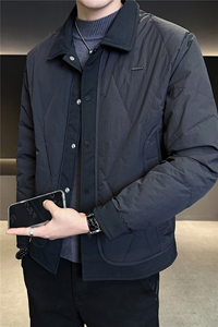 9923-L-4XL-P165标50绒店主风冬季翻领轻薄男士休闲羽绒服外套图片