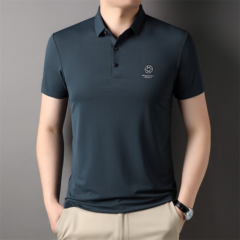 AL2809钱塘2020-3夏季新款中年男士短袖T恤翻领时尚休闲上衣P55,男装T恤,钱塘207-3