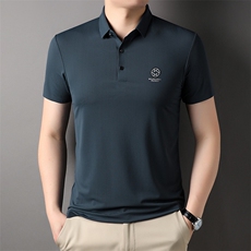 AL2809钱塘2020-3夏季新款中年男士短袖T恤翻领时尚休闲上衣P55，男装T恤，钱塘207-3