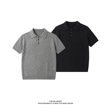 麻花短袖针织polo衫男夏季修身健身弹力T恤翻领X61400-TP48不，男装T恤，电商A102