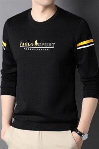QLM77196男式秋季服装新款长袖T恤青年卫衣四季打底体恤P63图片