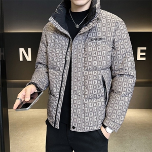 标50白鸭绒轻薄款男装羽绒服冬季外套B317-Y2506-P185图片