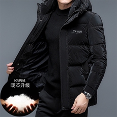 2023年新款羽绒服P215，男装羽绒服，电商D223-1