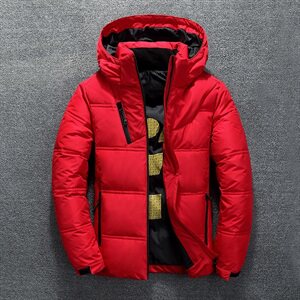 电商B247 2020冬季修身青年男士新款短款加厚羽绒服外套MY87图片