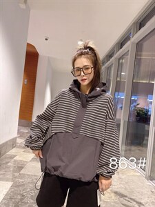 2021秋季新款连帽卫衣图片