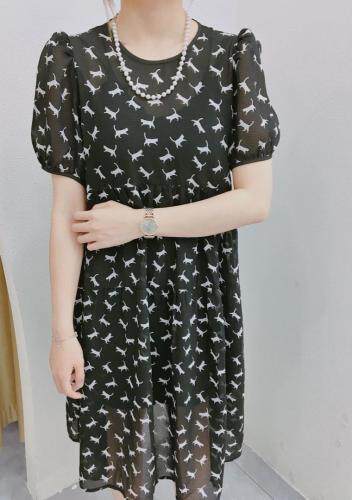 春花与熙南 CHYXN117414