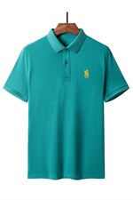 BP2202钱塘2020-2夏季新款POLO衫翻领男短袖T恤数据好主推款P52，男装T恤，钱塘207-2