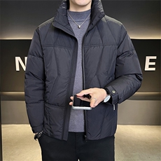 50白鸭绒男装羽绒服2025新款冬季外套C317-Y1808-P195，男装羽绒服，电商C317