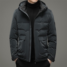 潮流羽绒服男士冬季连帽保暖工装百搭宽松休闲外套ZELD9848-P325，男装羽绒服，电商B212（原钱塘6029）