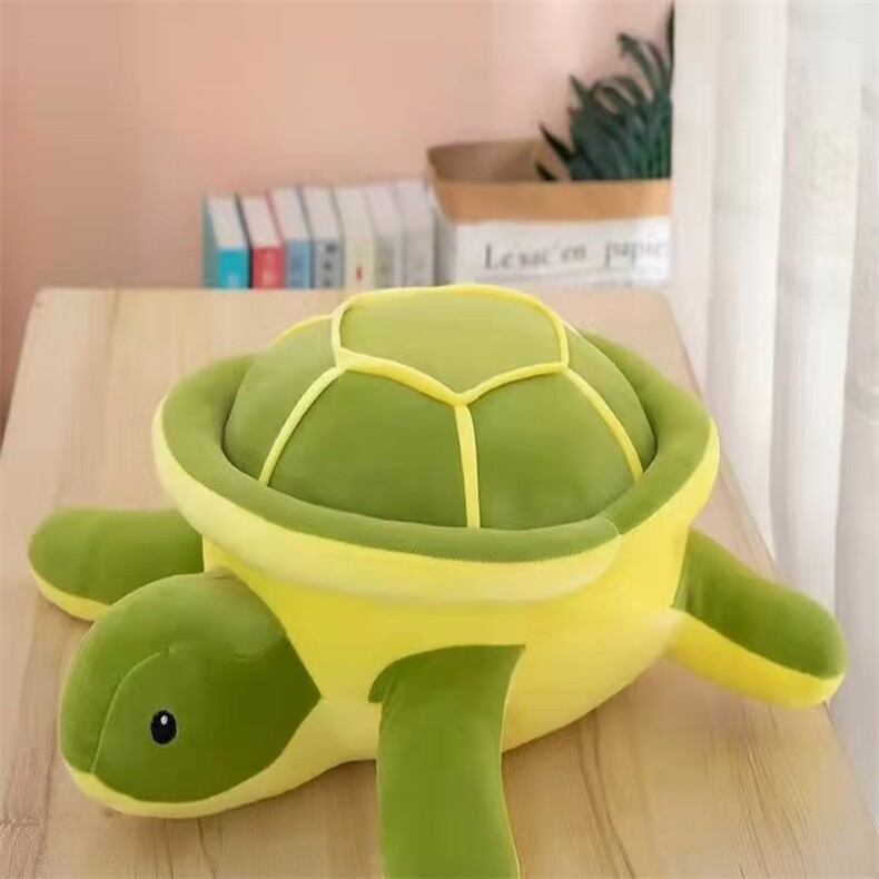 乌龟，张强玩具