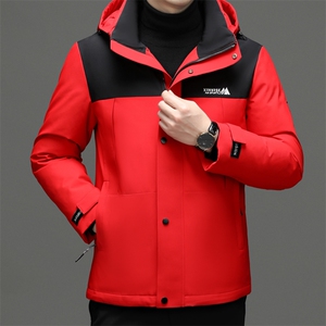 羽绒服男士新款秋冬季宽松休闲中青年保暖连帽外套 FF9776-P290图片