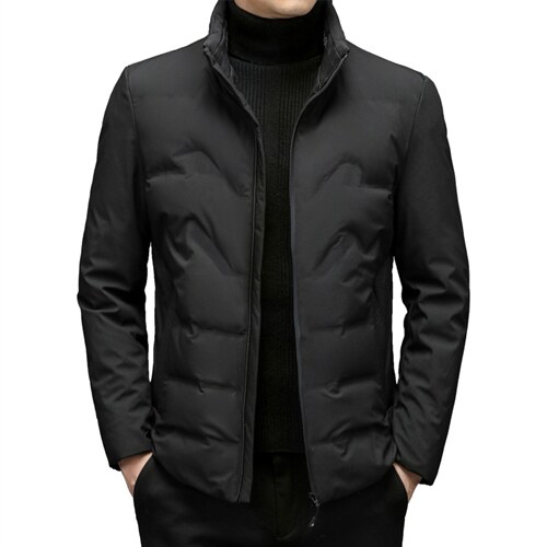 羽绒服外套男立领商务休闲中年男装冬季中老年爸爸装ZL6107-P195,男装羽绒服,电商B212（原钱塘6029）