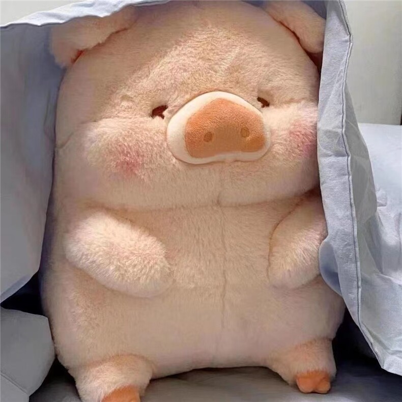 露露猪，姚翔网供