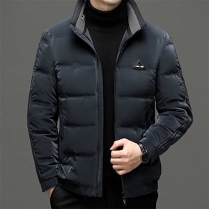 羽绒服男士新款秋冬季宽松休闲中青年保暖立领外套 FF2803-P255图片