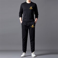 长袖t恤中年男士套装圆领春季新款时尚休闲男装一套搭配两件套装,男装休闲套装,电商B212（原钱塘6029）