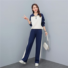 现货2025年春季新款显瘦气质时尚大方减龄韩版立领直同套装，女装套装/套裙，凝聚力