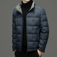 立领羽绒服男士2023冬季新款中年休闲加厚保暖上衣鸭绒外套男装，男装羽绒服，电商B212（原钱塘6029）