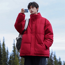 现货二开抖音得物可供视频三防加厚立领棉衣外套棉服WM1266，男装棉衣，电商A486