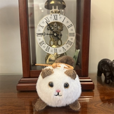 摇尾款金眼猫