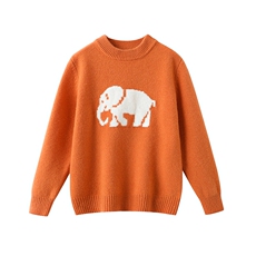 2025年新款通勤时尚百搭休闲儿童羊毛衫加厚大象款，童装儿童羊毛衫，奥澜羊绒