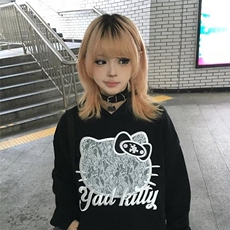 WY43-P58小众猫耳设计连帽宽松卫衣女复古刺绣街头ins潮显瘦，男装卫衣，电商B323A