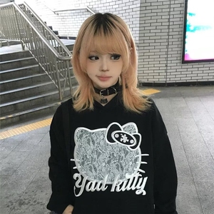 WY43-P58 小众猫耳设计连帽宽松卫衣女复古刺绣街头ins潮显瘦图片
