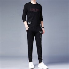 中年运动套装男春秋季爸爸秋装套装圆领卫衣两件套大码运动服时尚，男装休闲套装，电商B212（原钱塘6029）