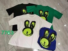 新款卡通大T,其它,艾瑞斯丽