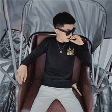 3秋装新款长袖圆领卫衣社会小伙麒麟刺绣个性卫衣C301B-WY04，男装卫衣，电商C301B