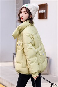 2021年冬季加厚常规立领简约休闲时尚羽绒服ins女图片