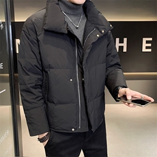 男士羽绒服冬季2025新款宽松立领加厚面包服外套A313-9988-P200，男装羽绒服，电商A313