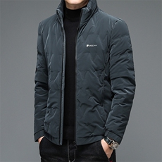 2023秋冬新款羽绒服男士立领商务休闲保暖潮流外套BSTN66538-P185，男装羽绒服，电商B212（原钱塘6029）