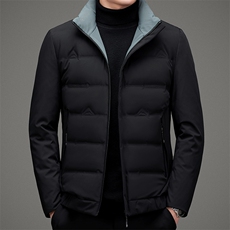 羽绒服冬季立领宽松保暖商务休闲纯色外套中年男装MSNA20613-P255，男装羽绒服，电商B212（原钱塘6029）