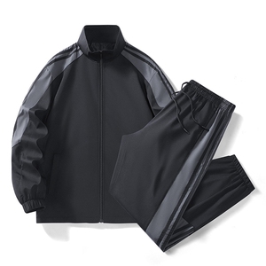 2025男秋季开衫套装两件套运动服休闲服长袖套装立领外套D02-P40图片