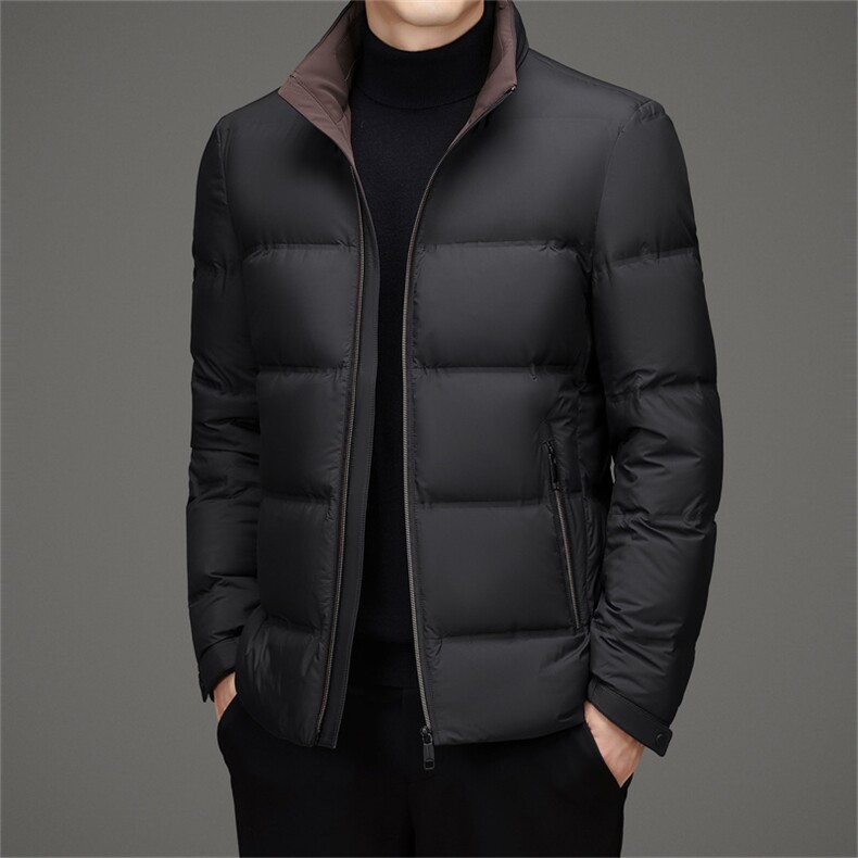冬季鸭绒立领羽绒服休闲男士简约短款时尚商务户外防寒男外套,男装羽绒服,钱塘6003（原4033）
