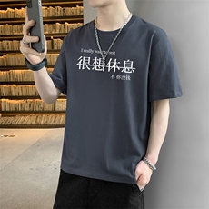 DT09灰色