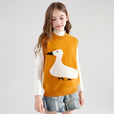 2025年时尚百搭通勤简约加厚小鸭鸭马甲男女同款，童装马甲，牧皓研