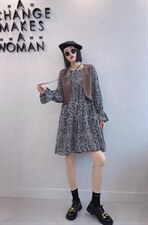 新款韩版连衣裙，女装连衣裙，韩流星