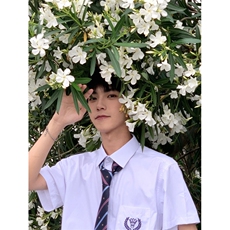 dk制服男纯棉白衬衫男短袖夏季宽松休闲大码半袖jk衬衣CS77-P48，男装衬衫，星座1007（原301D）