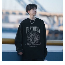 流行简约百搭日系原宿潮气质ins文艺纯棉长袖T恤卫衣T122-P30网图，女装T恤，电商B245