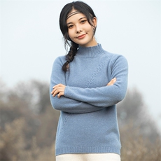 半高领羊毛衫女套头2024年新款秋冬季保暖打底衫，女装羊毛衫，赛冬羊绒