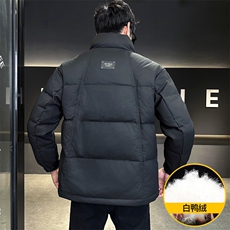 M807-P160标50%白鸭绒2025新款羽绒服男冬季立领潮流百搭厚，男装羽绒服，星座507A（原星座306B-2）