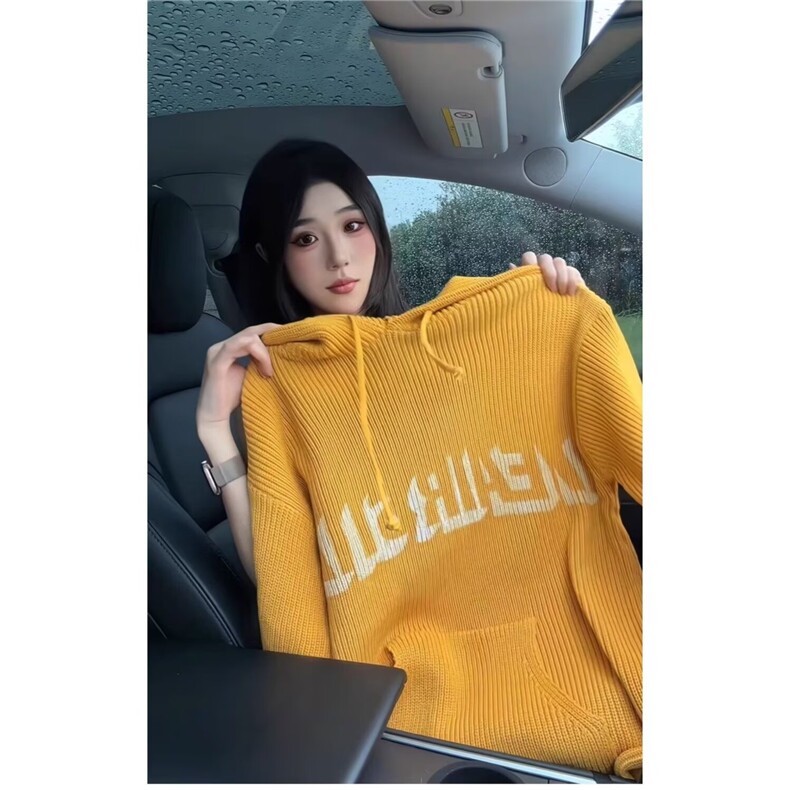 连帽毛衣套头女秋季2025年新款宽松小个子百搭针织外套上衣,男装针织衫/毛衣,星座1210-1
