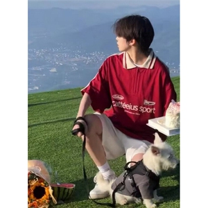 条纹polo领短袖t恤男女夏季新款宽松设计感小众半拉链上衣 T28图片